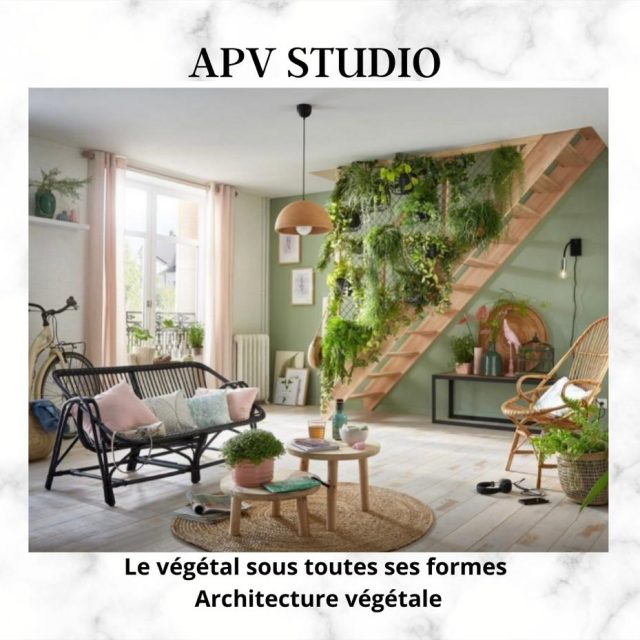 APV  STUDIO – Le végétal sous toutes ses formes